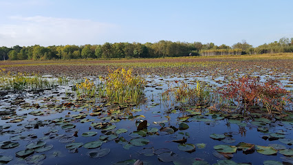 Cambridge Springs