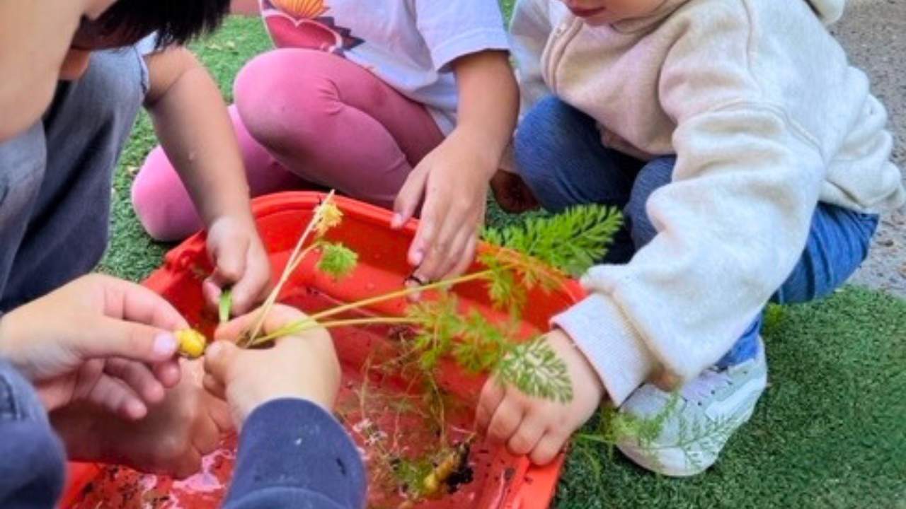 GREAT BEGINNINGS DAY CARE 1 - Licensed Daycare in Havertown, PA