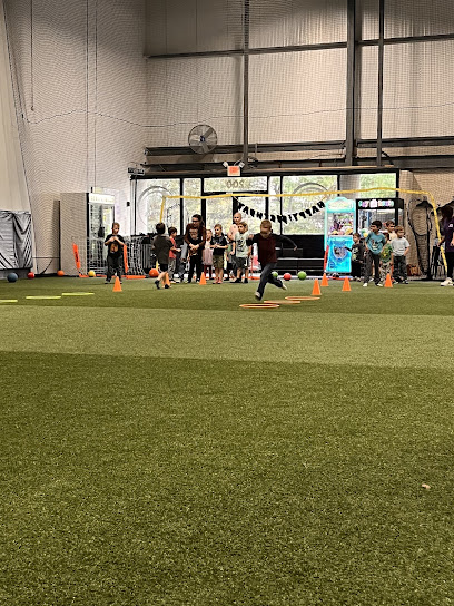 LEHIGH VALLEY SPORTS TURF LLC