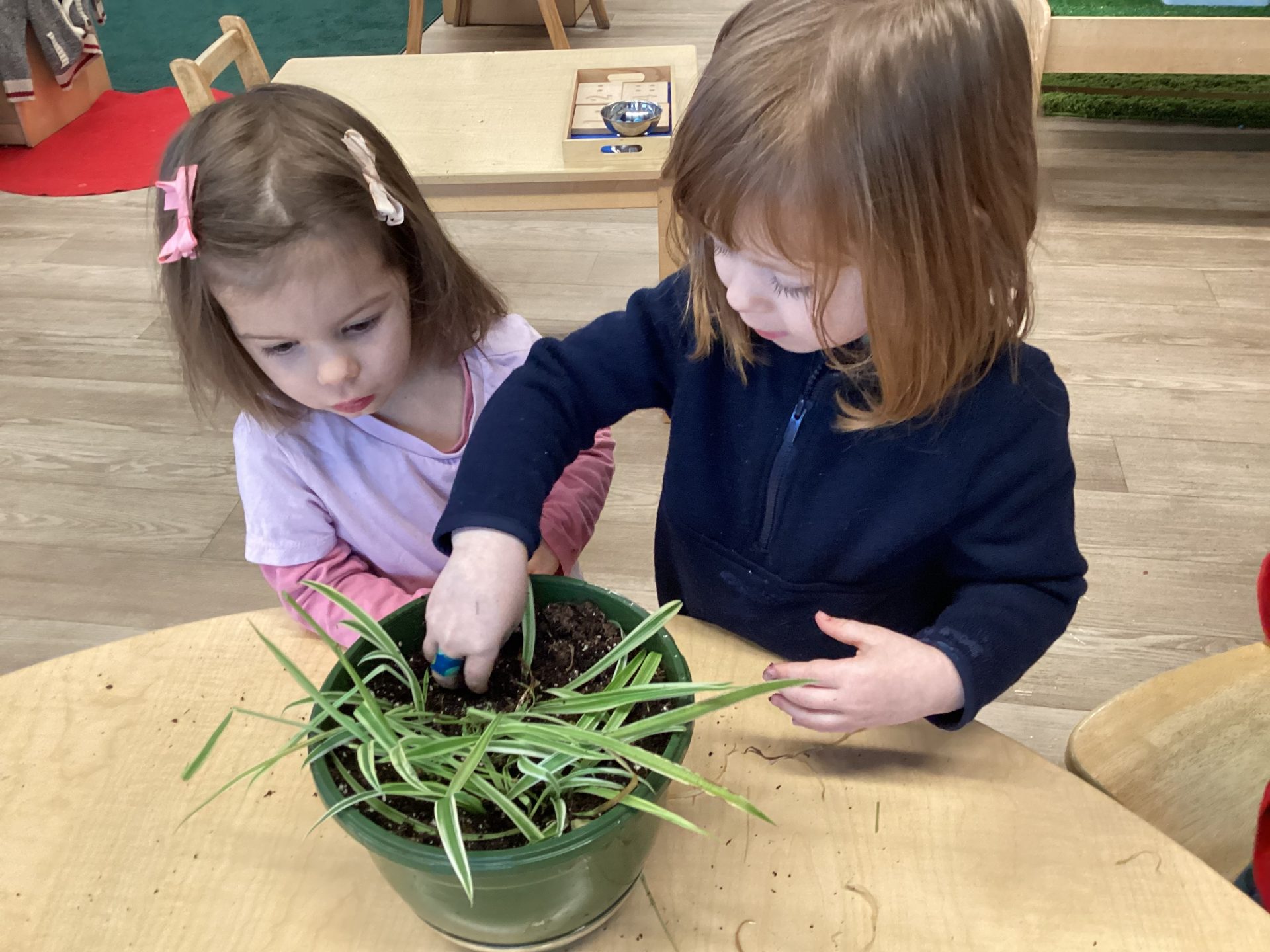 GREENE TOWNE SCHOOL INC