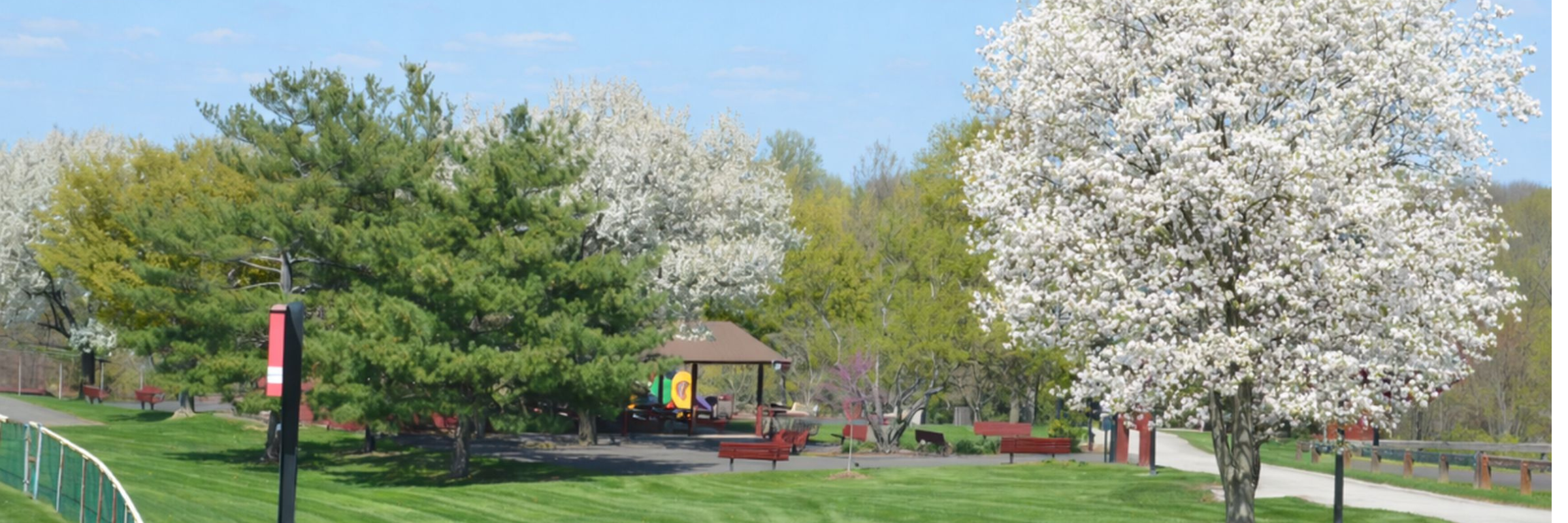 LOWER PROVIDENCE TOWNSHIP