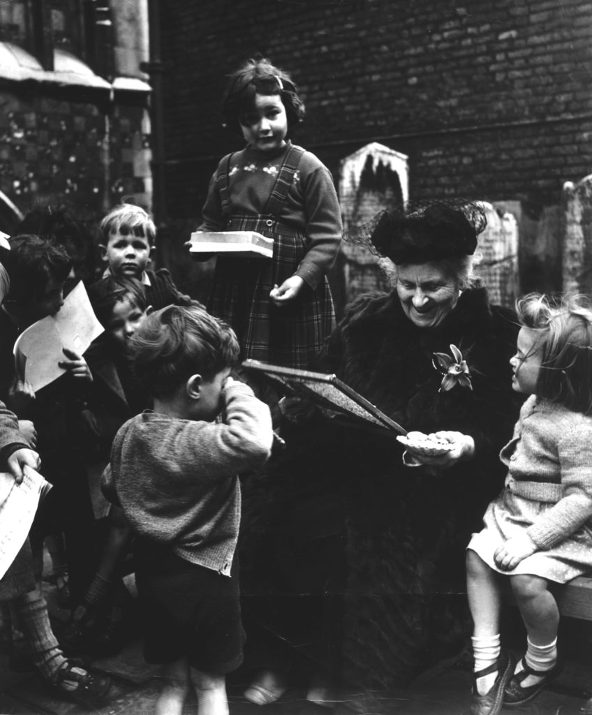 MONTESSORI IN THE WOODS