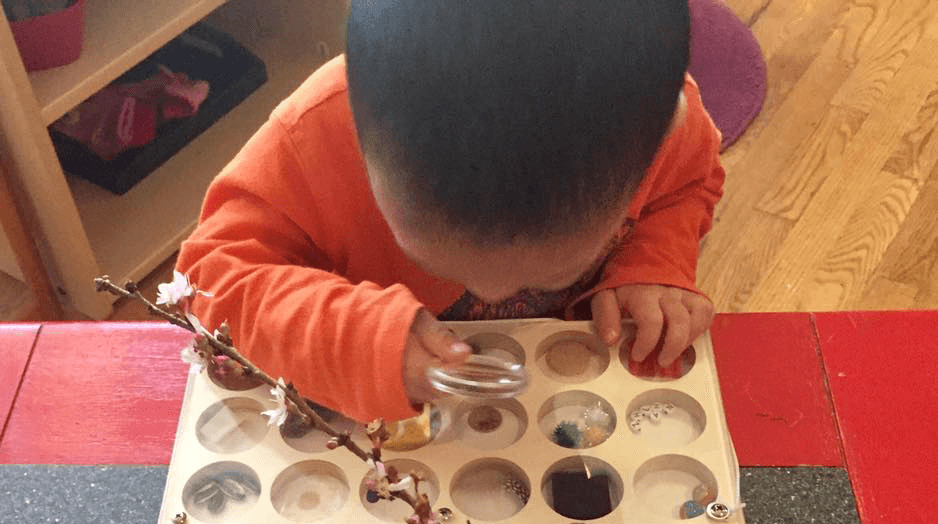 OUR HOUSE MONTESSORI LLC