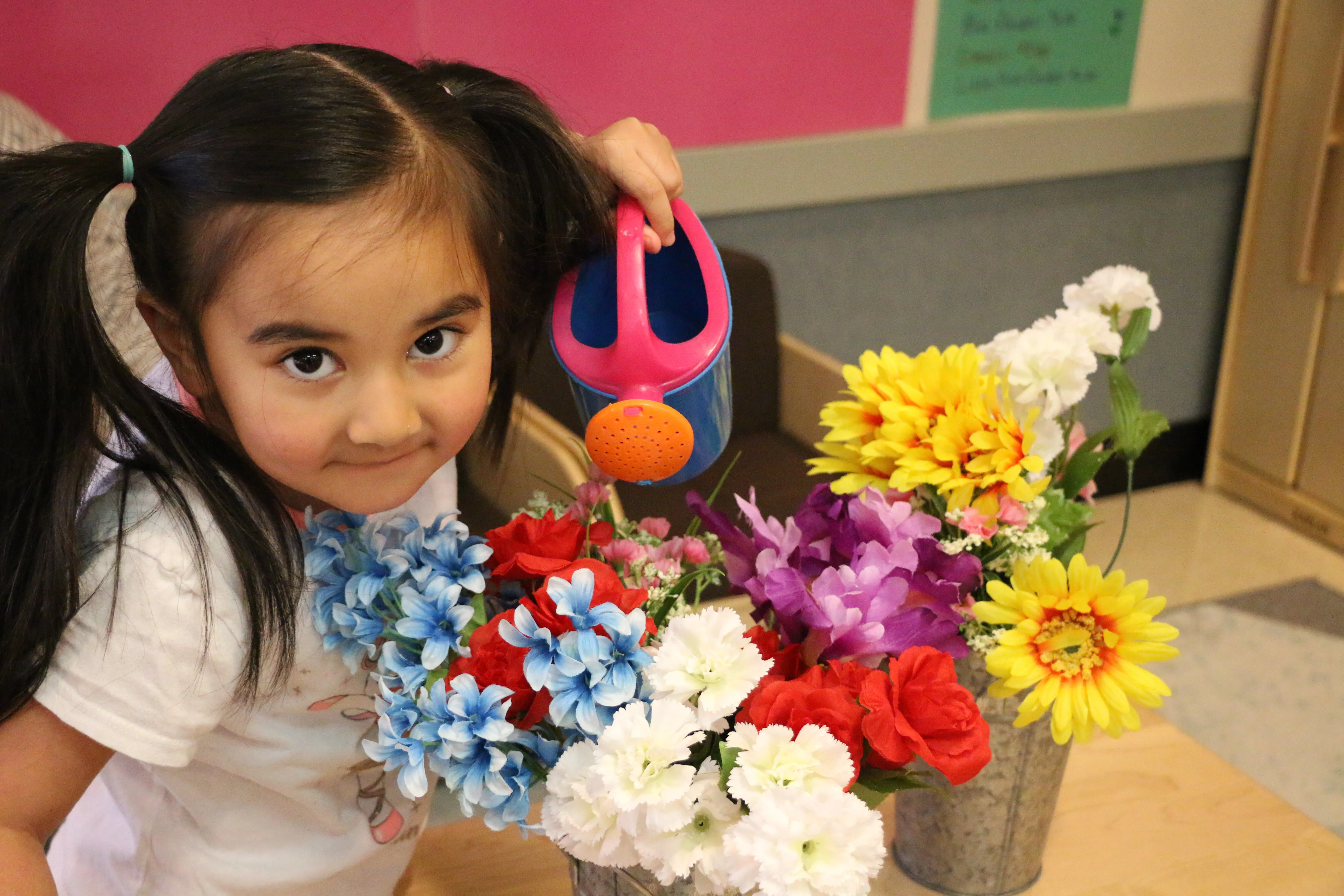 STEP Head Start Lycoming-Clinton
