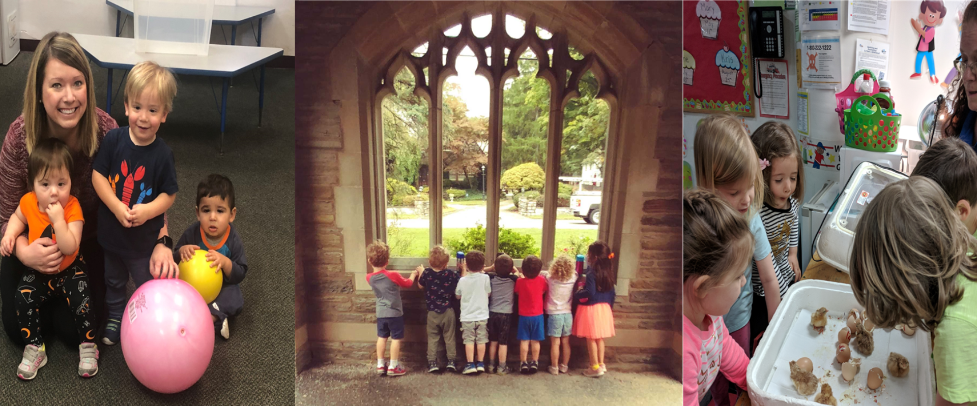THE CHILDRENS ARK AT ST GEORGES