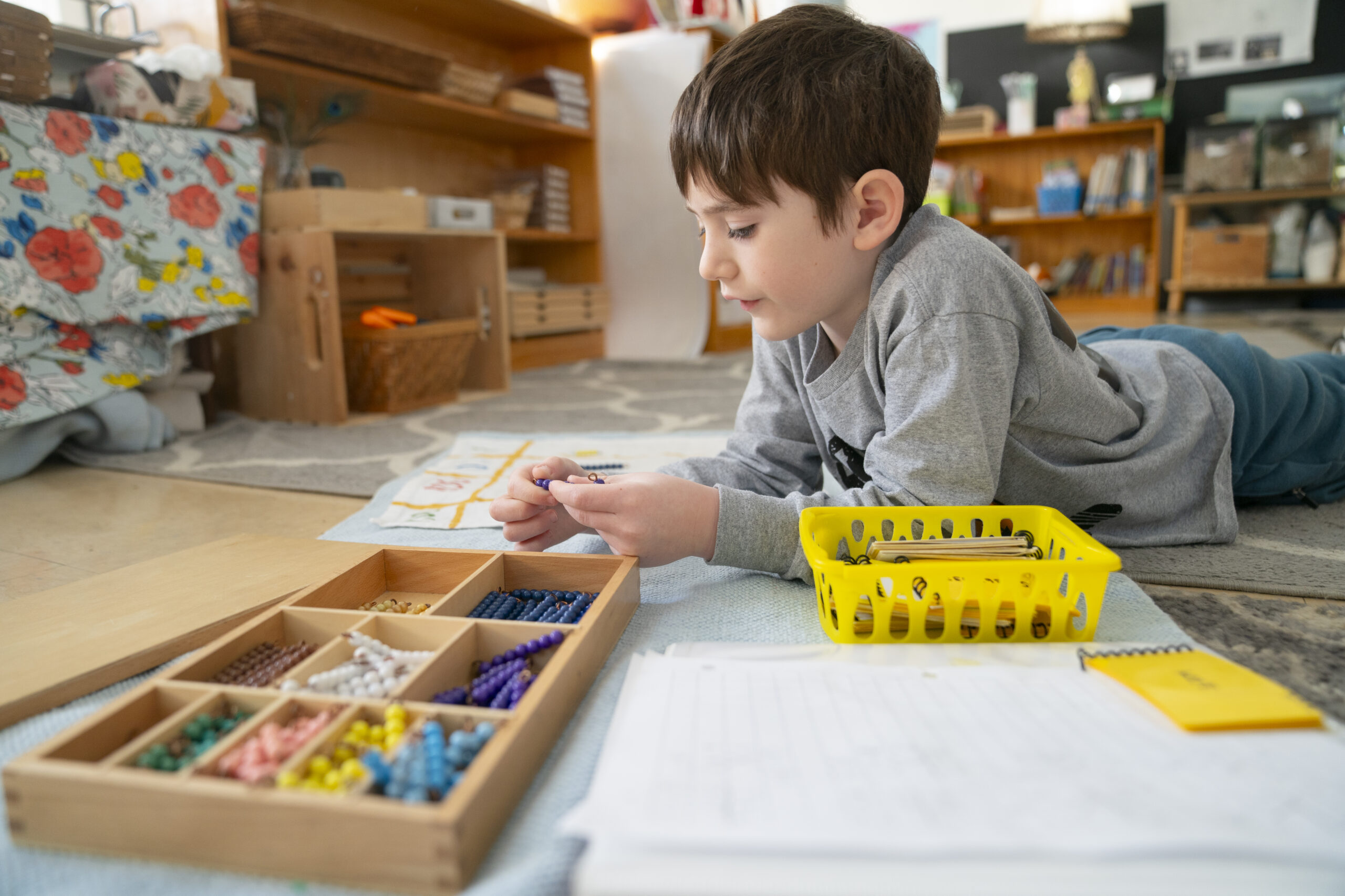The Glen Montessori School