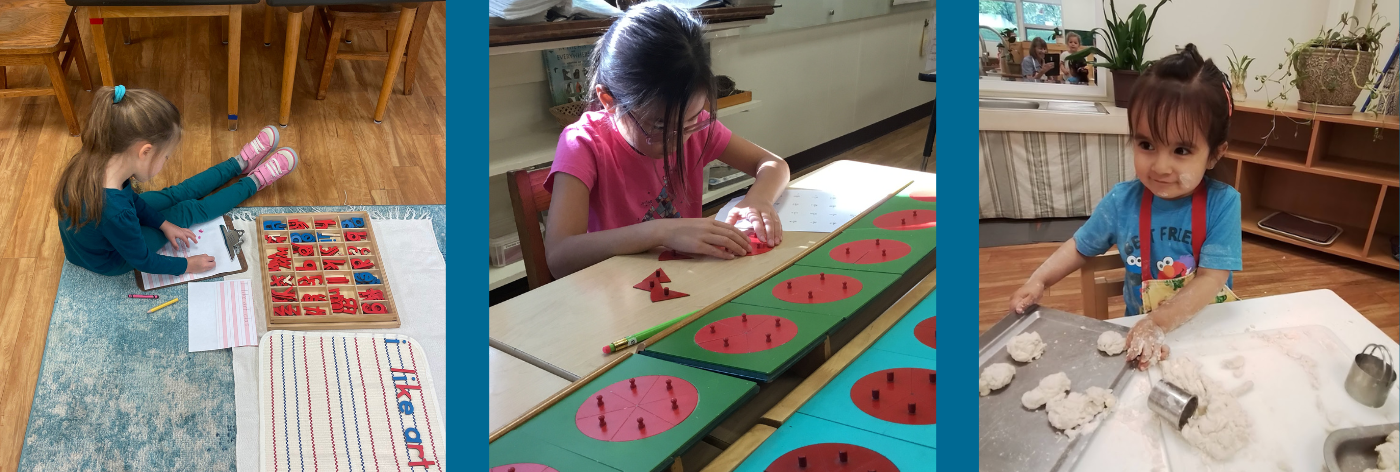 THE MONTESSORI SCHOOL