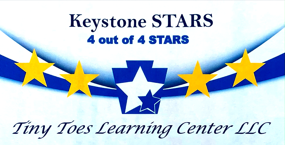 TINY HANDS TINY TOES LEARNING CENTER LLC