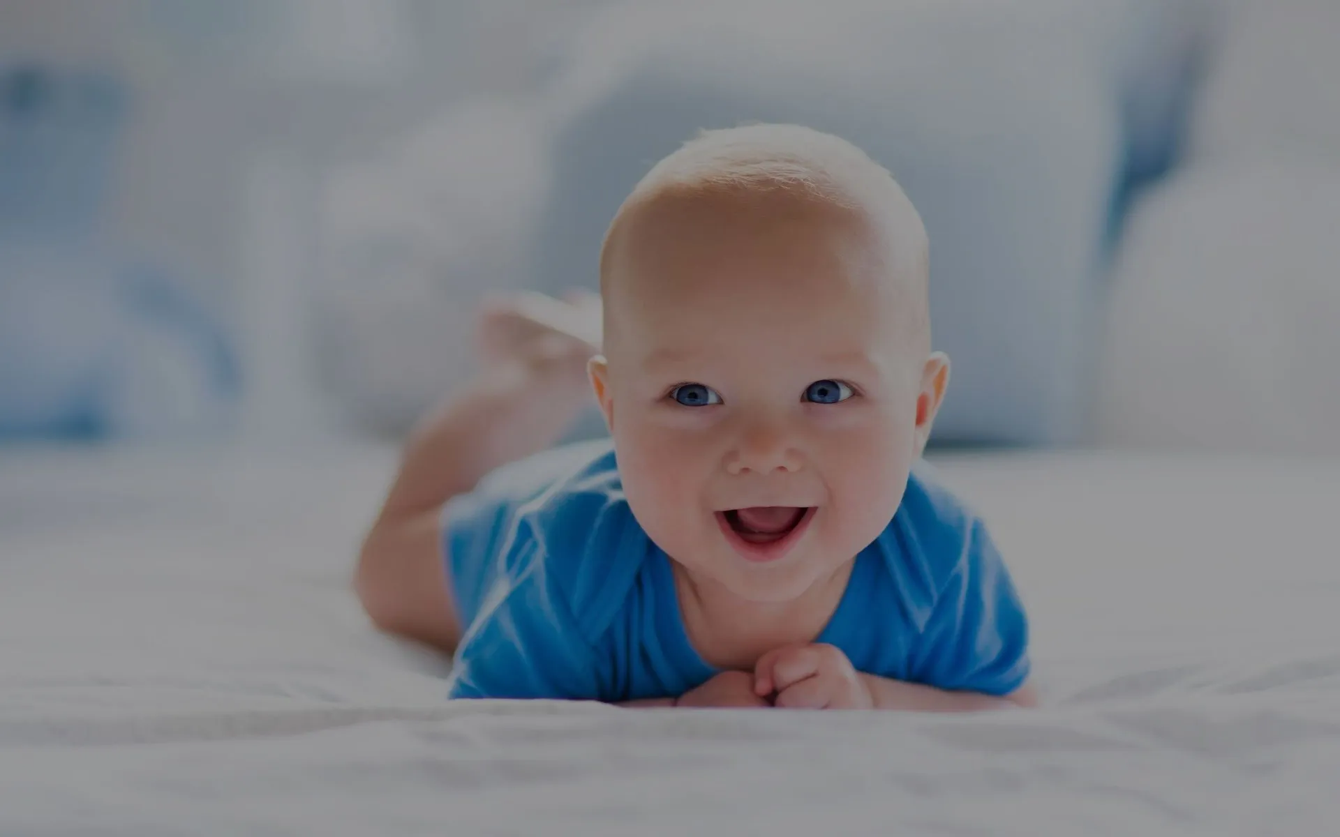 WILLOWS EARLY LEARNING TREE 2 - Licensed Daycare in Philadelphia, PA