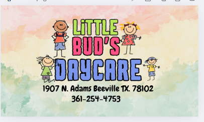 Little Bud's Daycare LLC
