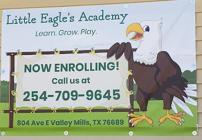 Little Eagles Academy