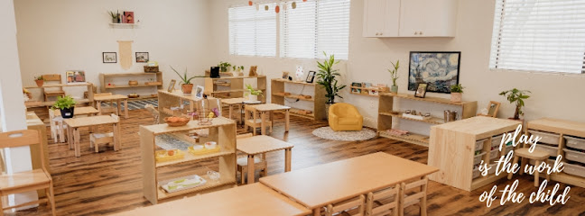 Liberated Montessori ,Oak Cliff