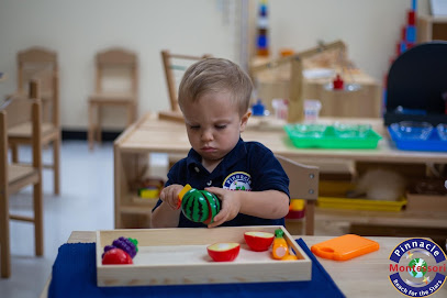 Pinnacle Montessori of Sachse - Licensed Daycare in Sachse, TX
