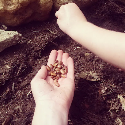 Garden Blossom Preschool