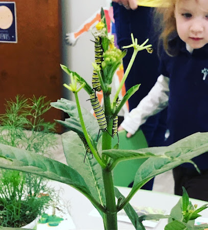 Kepler Stem School