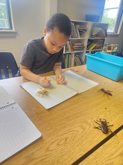 Q&A Preschools - Licensed Daycare in Burleson, TX