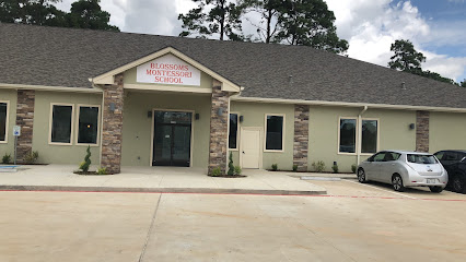 Blossoms Montessori School