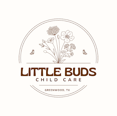 Little Buds Child Care Center LLC
