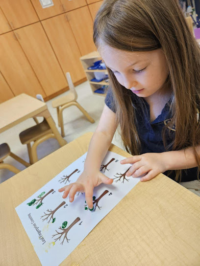 Pinnacle Montessori of Forney