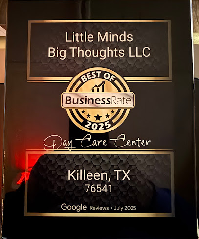 Little Minds Big Thoughts LLC