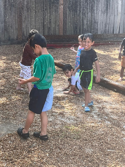 Little Scholars Learning Academy