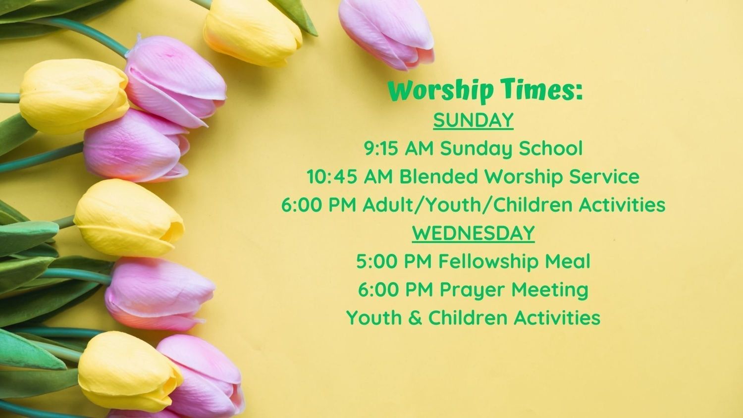 Dorcas Wills Memorial Baptist Church Child Care