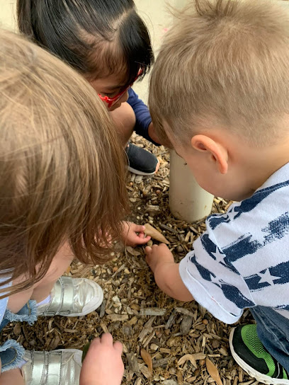 Happy Days Preschool LLC