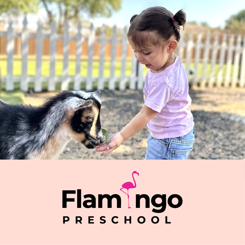 Flamingo Island Preschool LLC