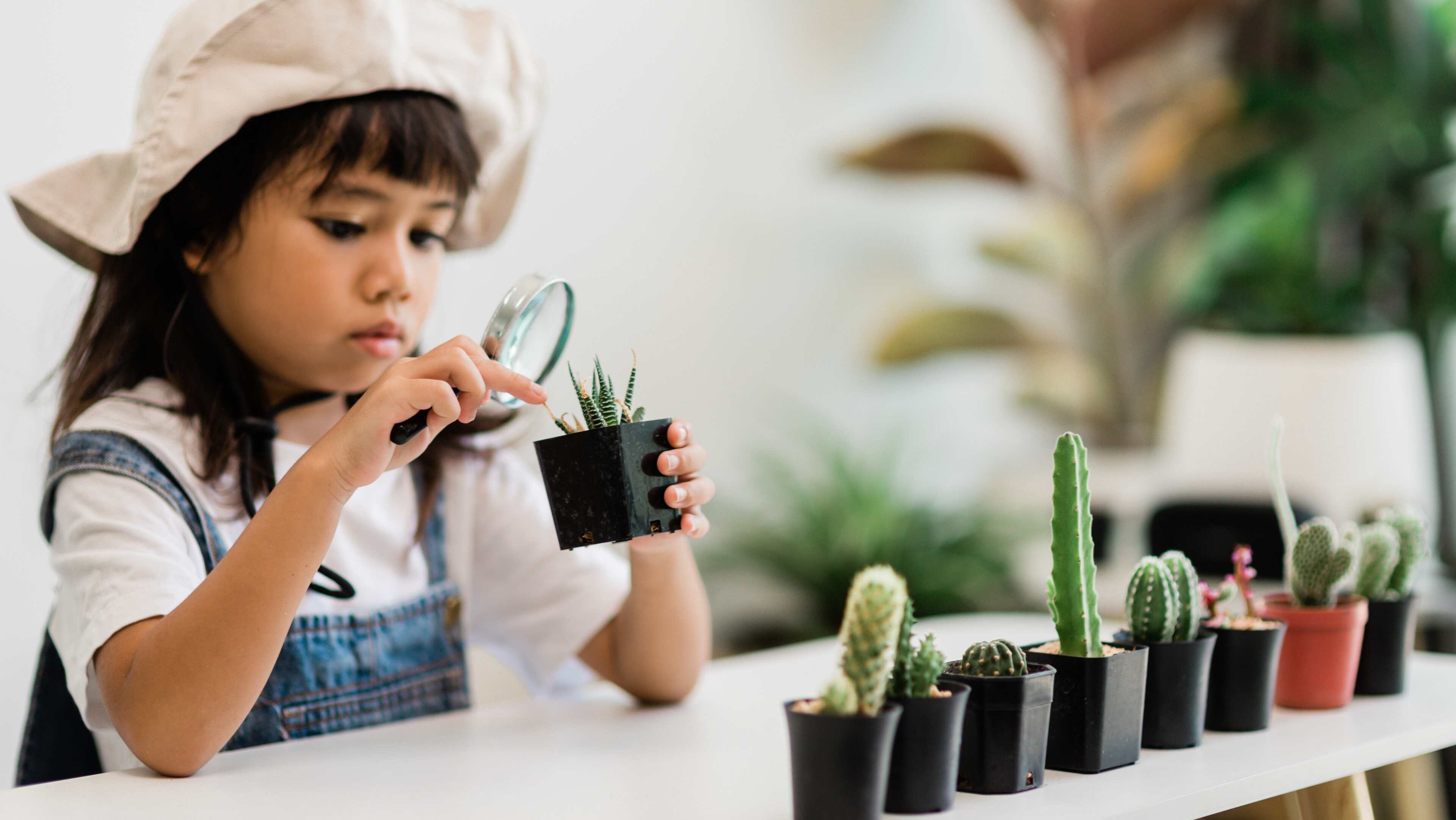 Kids USA Montessori
