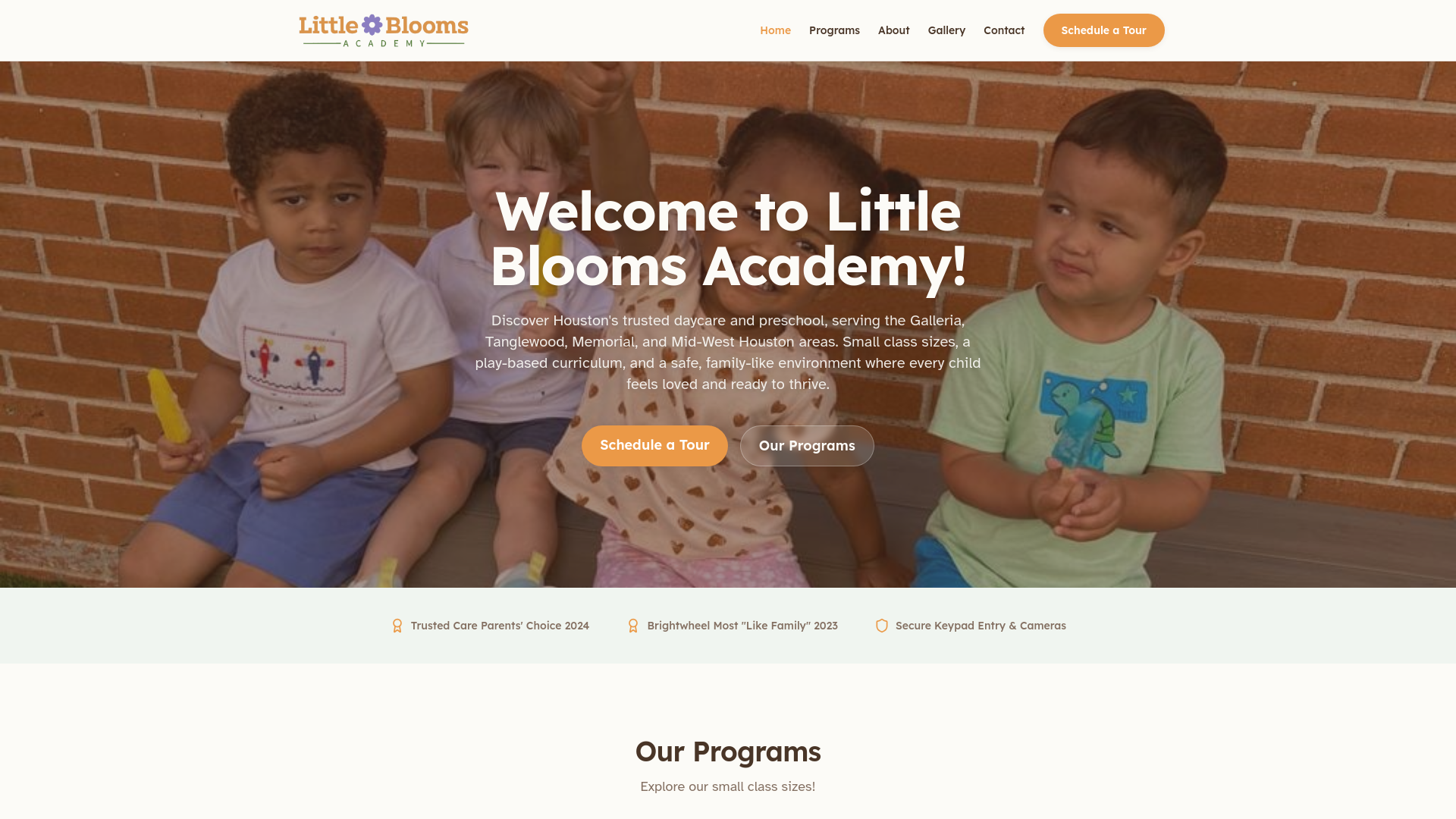 Little Blooms Academy