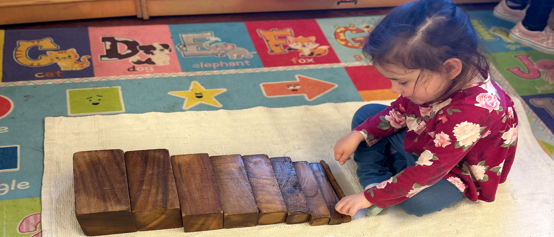 Round Rock Montessori School