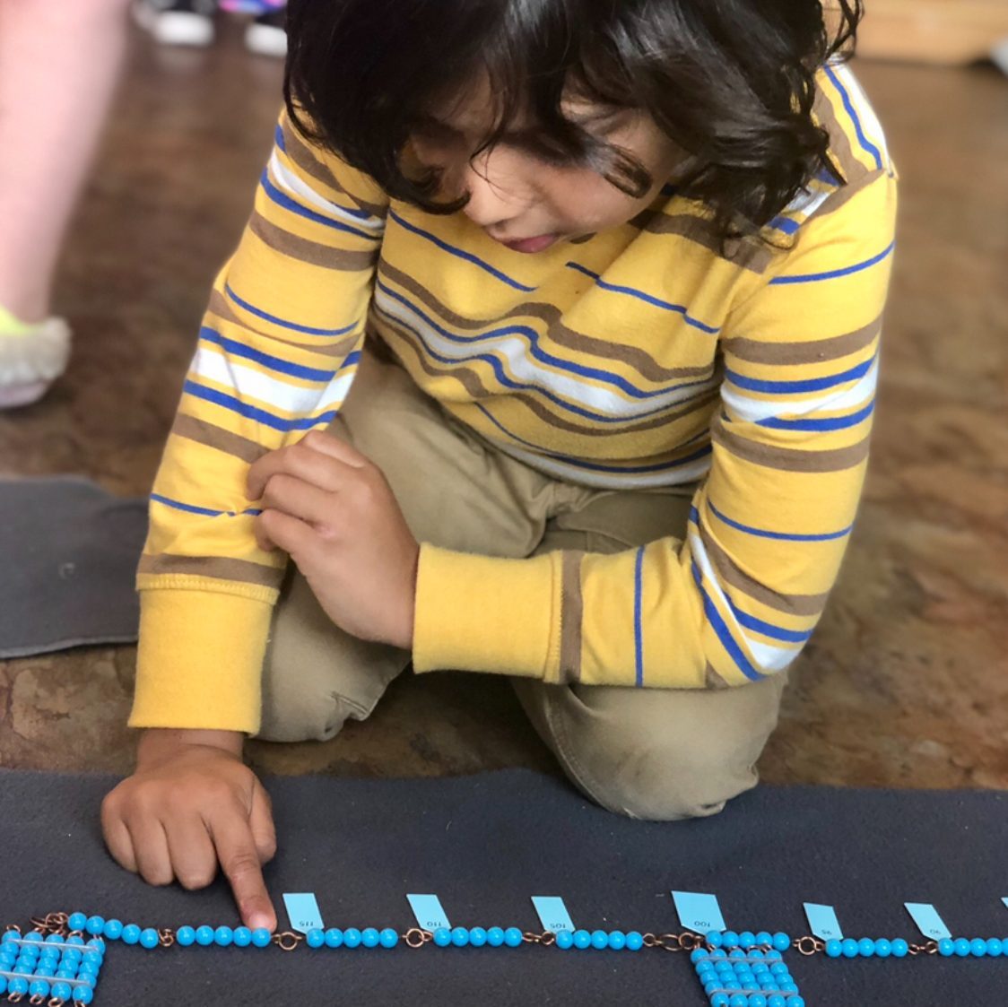 The Montessori Academy (TMA)
