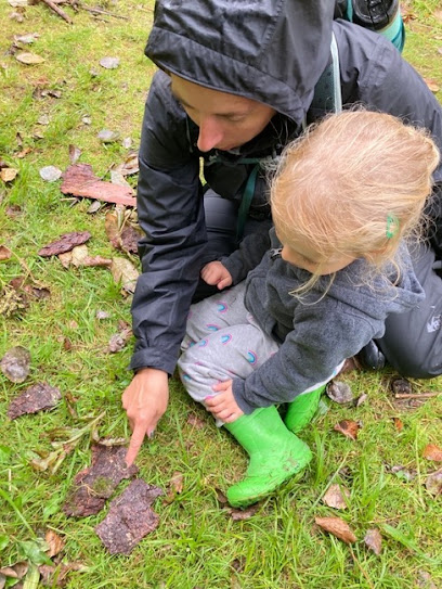 Fox Hollow Forest School - Licensed Daycare in Chittenden, VT