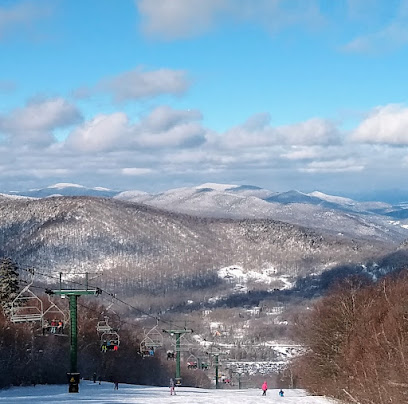 Killington/Pico Ski Resort Partners, LLC