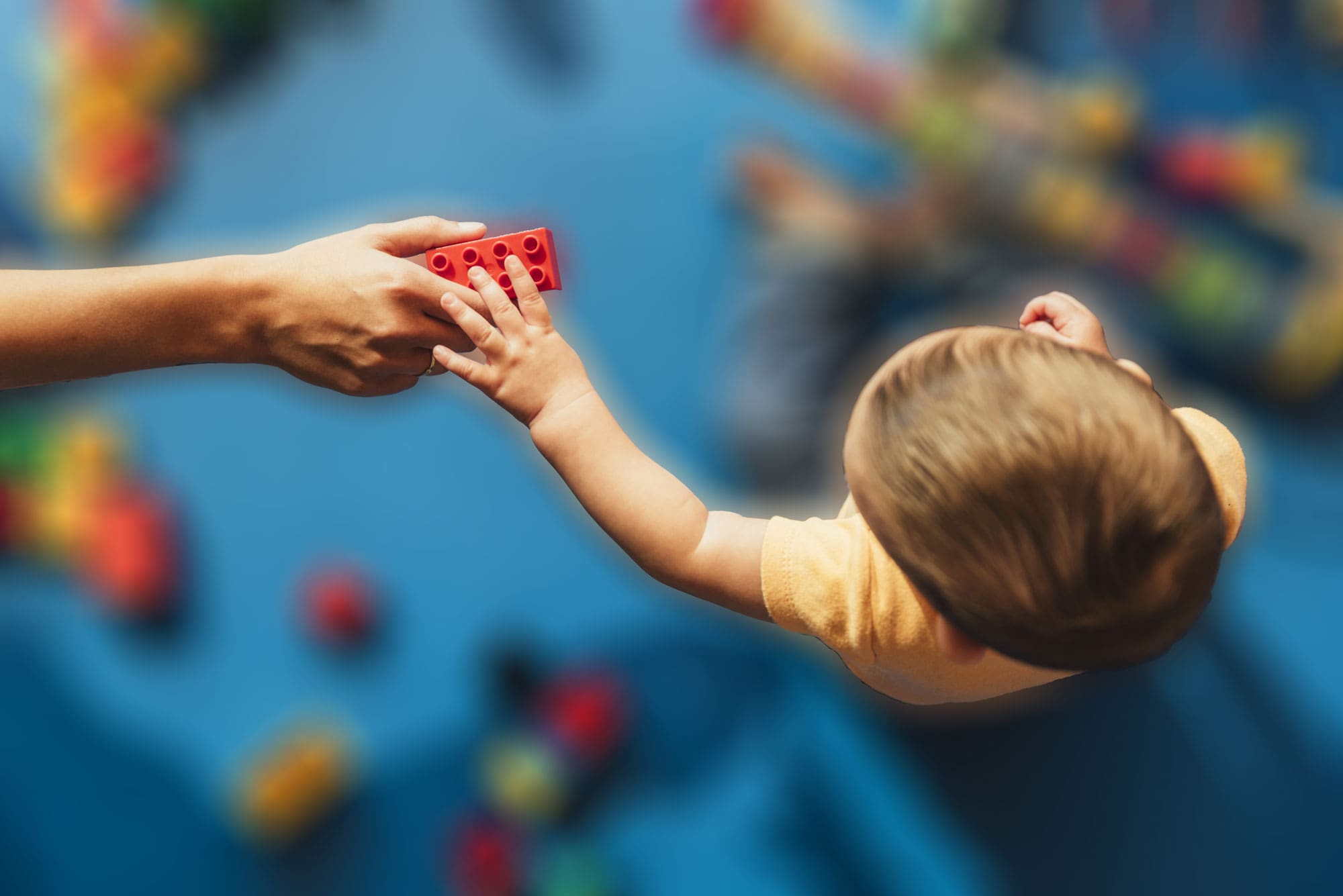 Watch Me Grow Day Care Center of WNY, Inc - Licensed Daycare in Cheektowaga, NY
