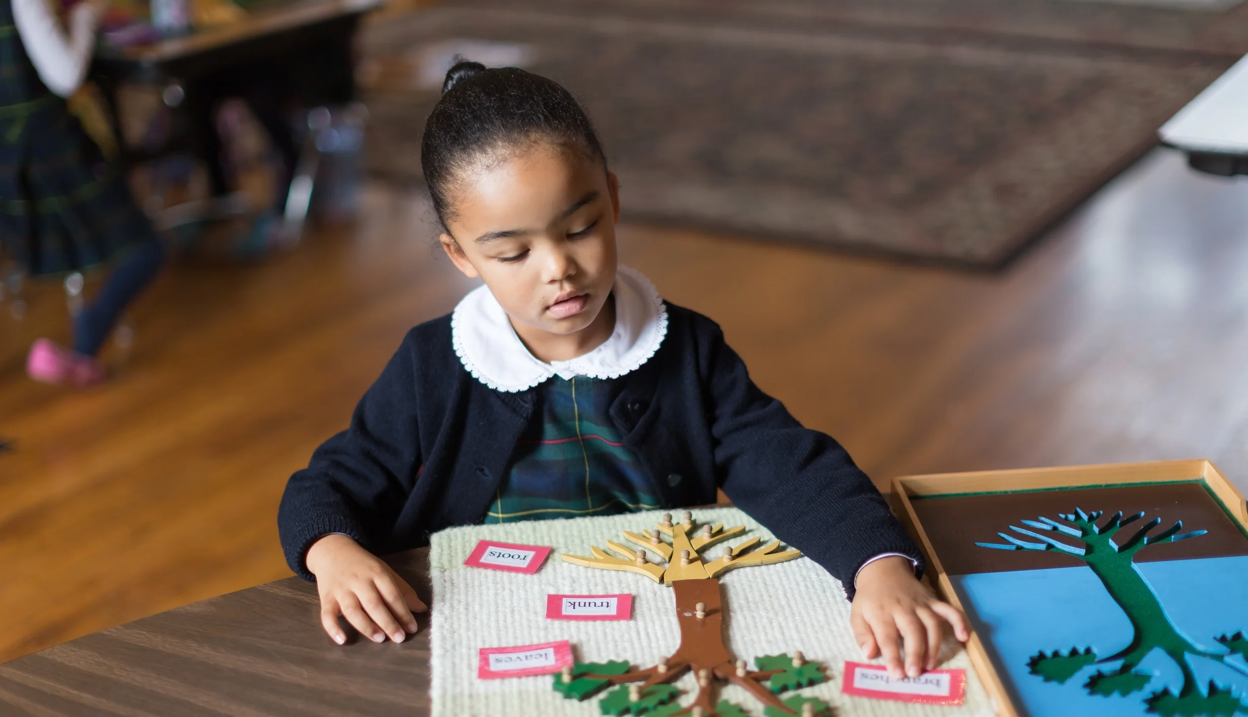 WILLISTOWN COUNTRY DAY SCHOOL - Licensed Daycare in Malvern, PA