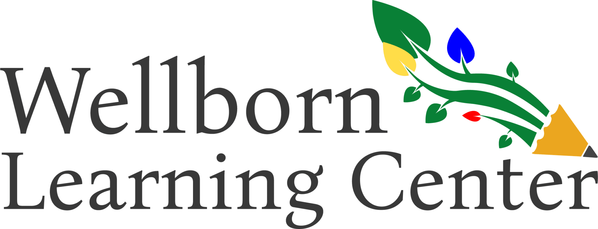 Wellborn Learning Center - Licensed Daycare in College Station, TX