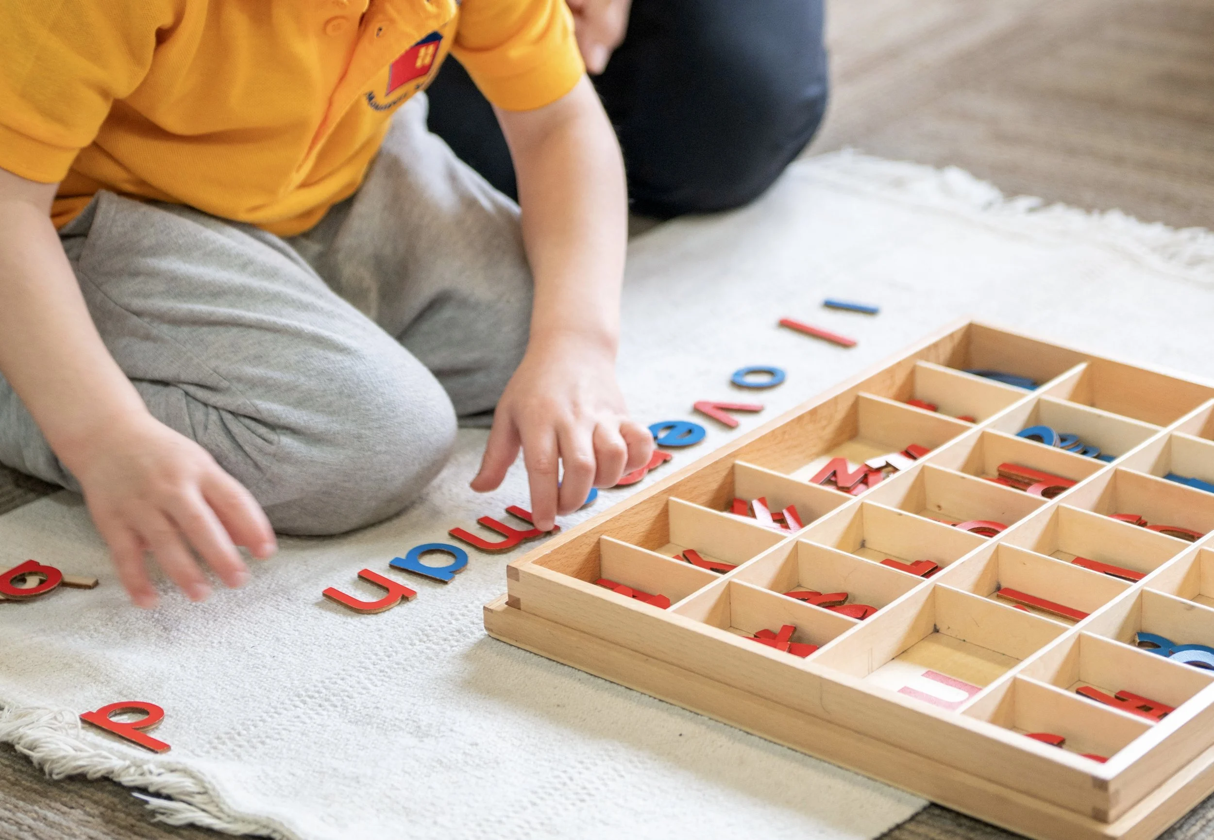 Little Minds Montessori Lynbrook Inc. - Licensed Daycare in Lynbrook, NY