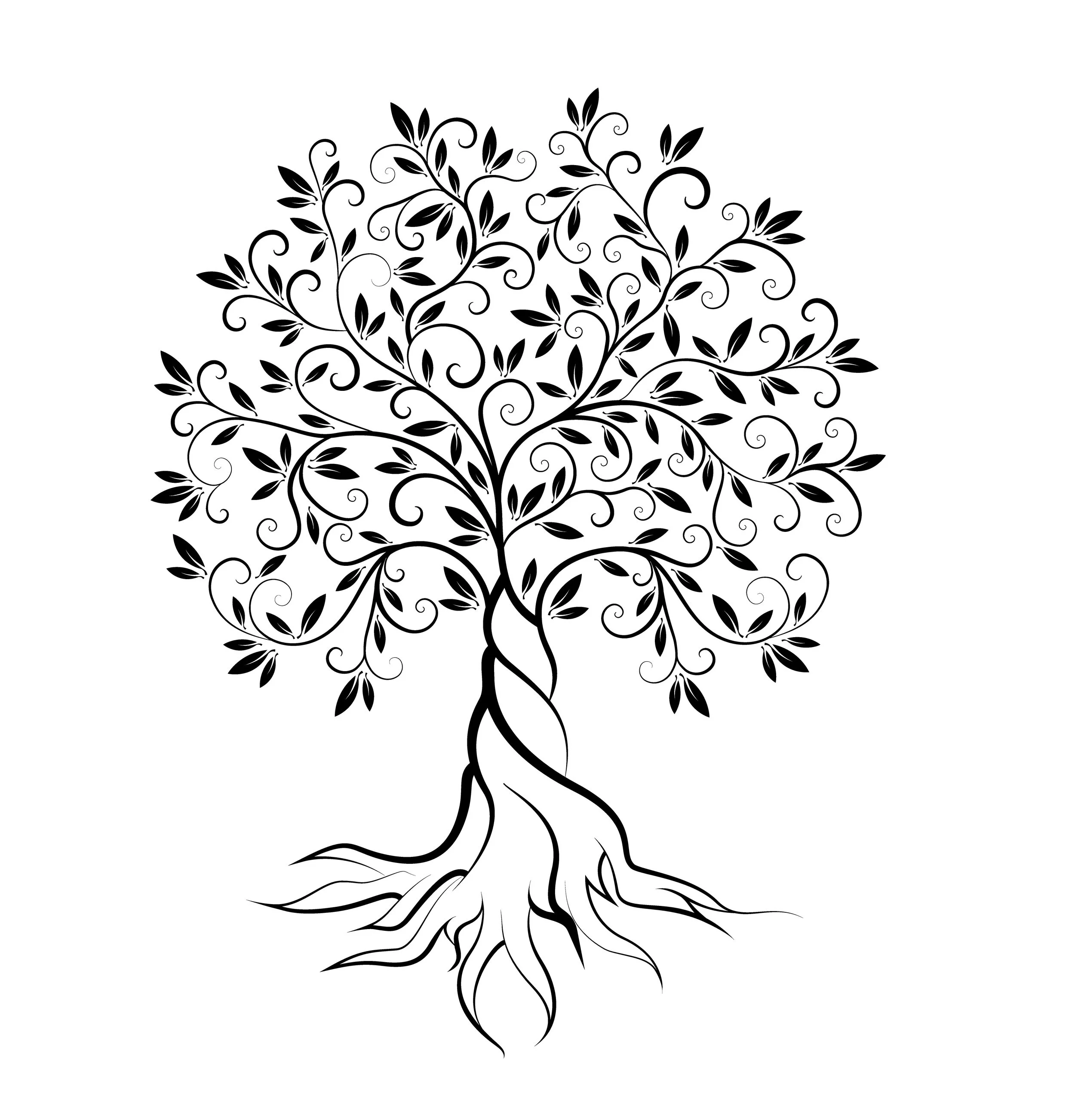 Solid Foundation Preschool - Licensed Daycare in Round Rock, TX