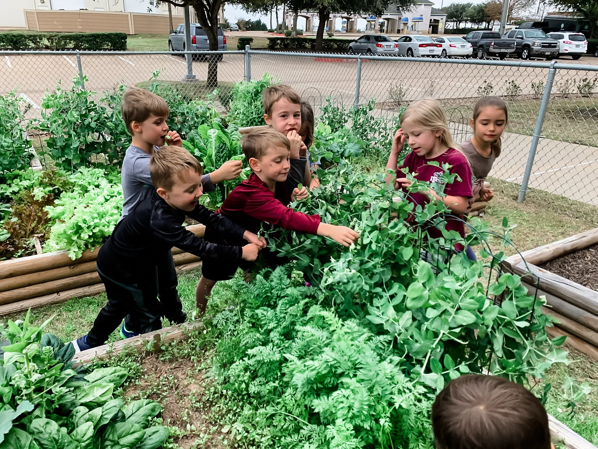 Brazos Valley Day School - Licensed Daycare in Bryan, TX