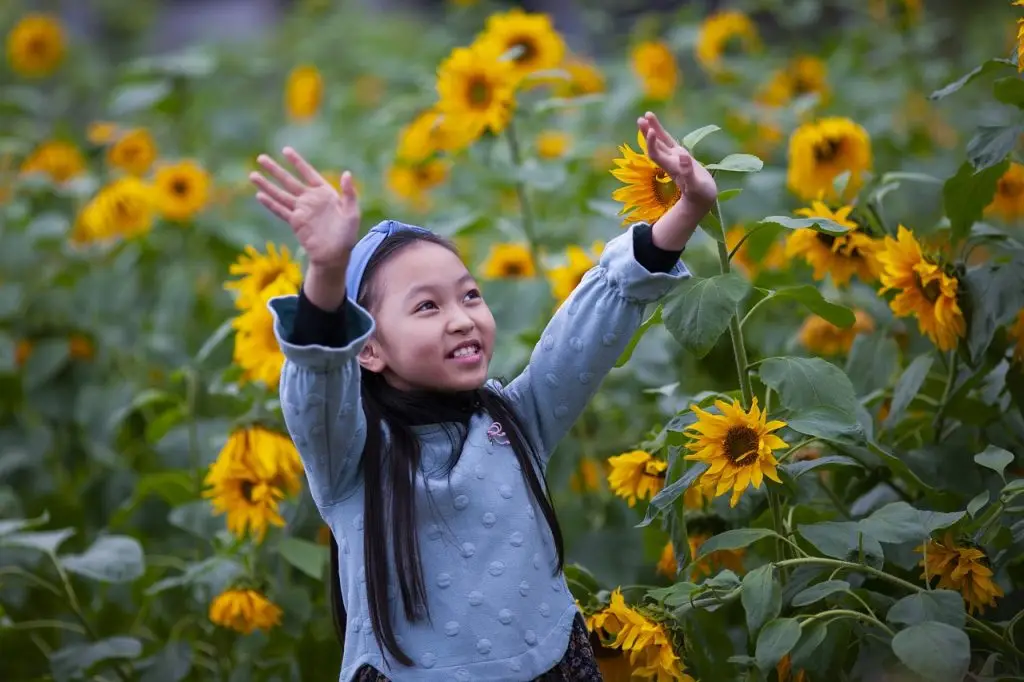 Little Stars Learning Adventure Center - Licensed Daycare in Allen, TX