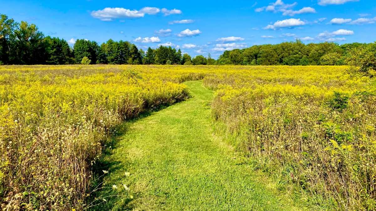 Natures Way Preschool - Licensed Daycare in Kalamazoo, MI