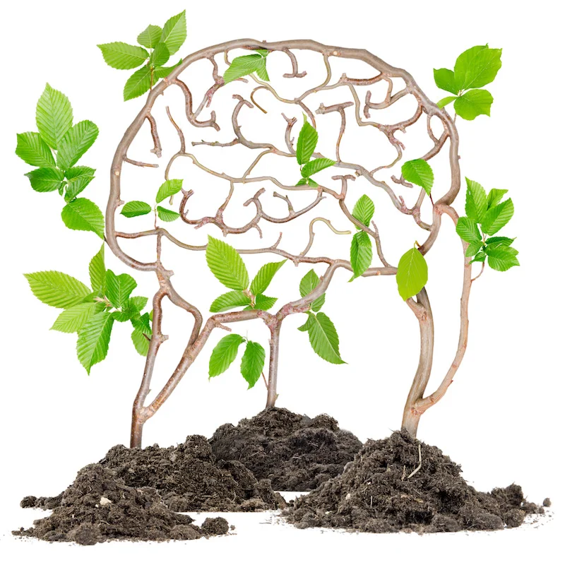 Little Seeds - Licensed Daycare in Northville, MI