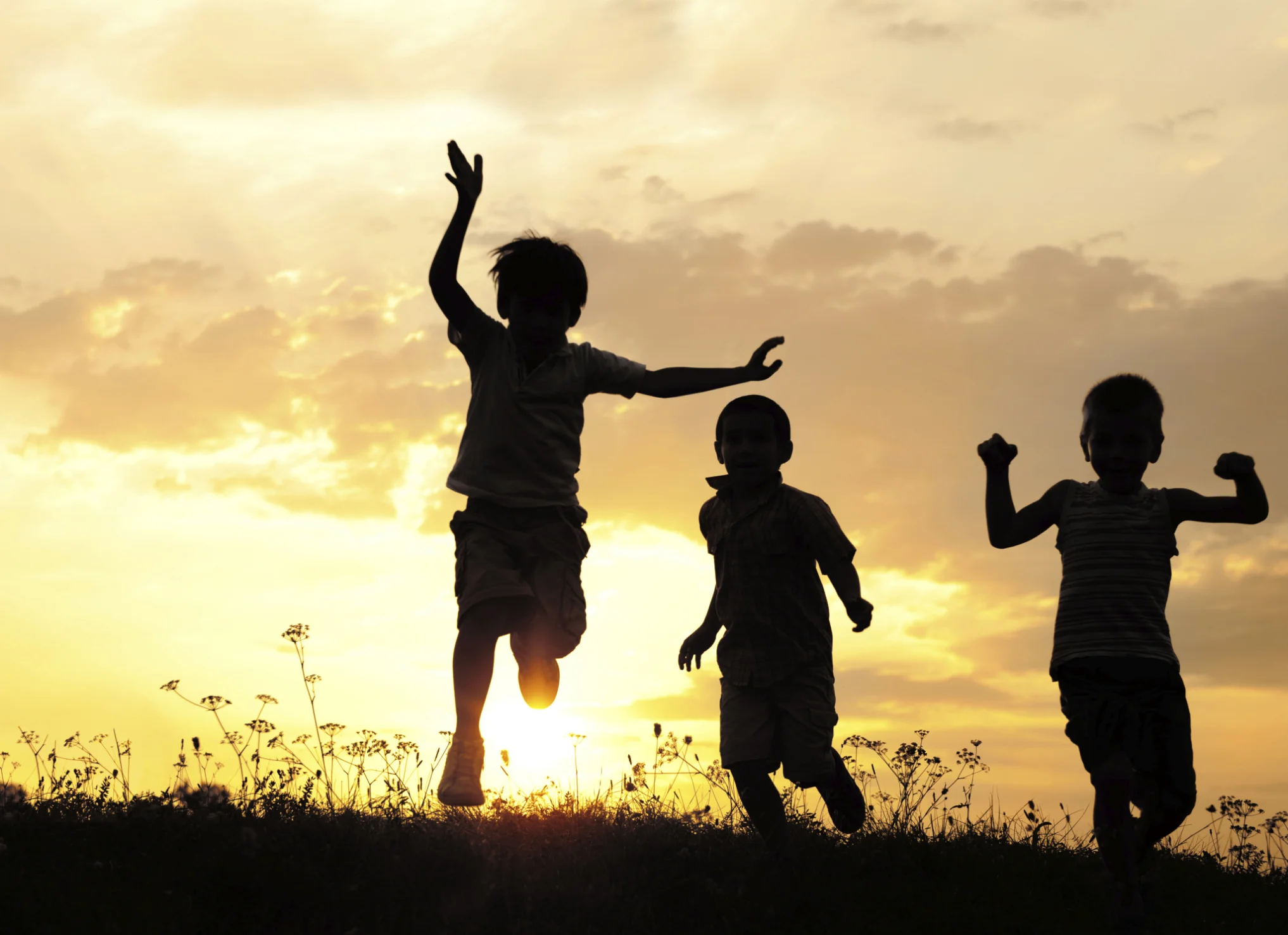 Pine Grove Country Day Care - Licensed Daycare in Mahopac, NY